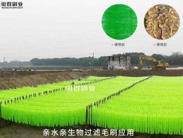 親生物親水過濾毛刷 親生物親水過濾毛刷